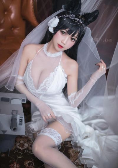 最弱无败神装机龙